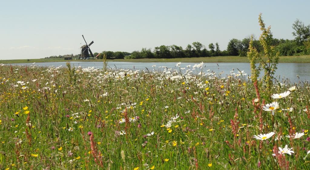 Vakantiepark Dennenoord Den Burg Zewnętrze zdjęcie