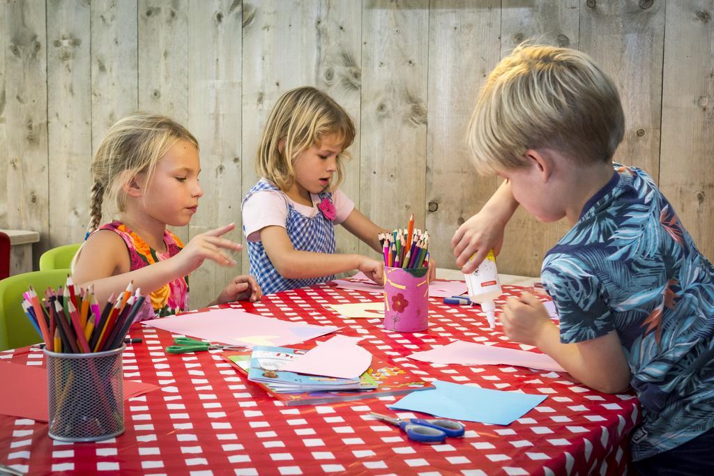 Vakantiepark Dennenoord Den Burg Zewnętrze zdjęcie